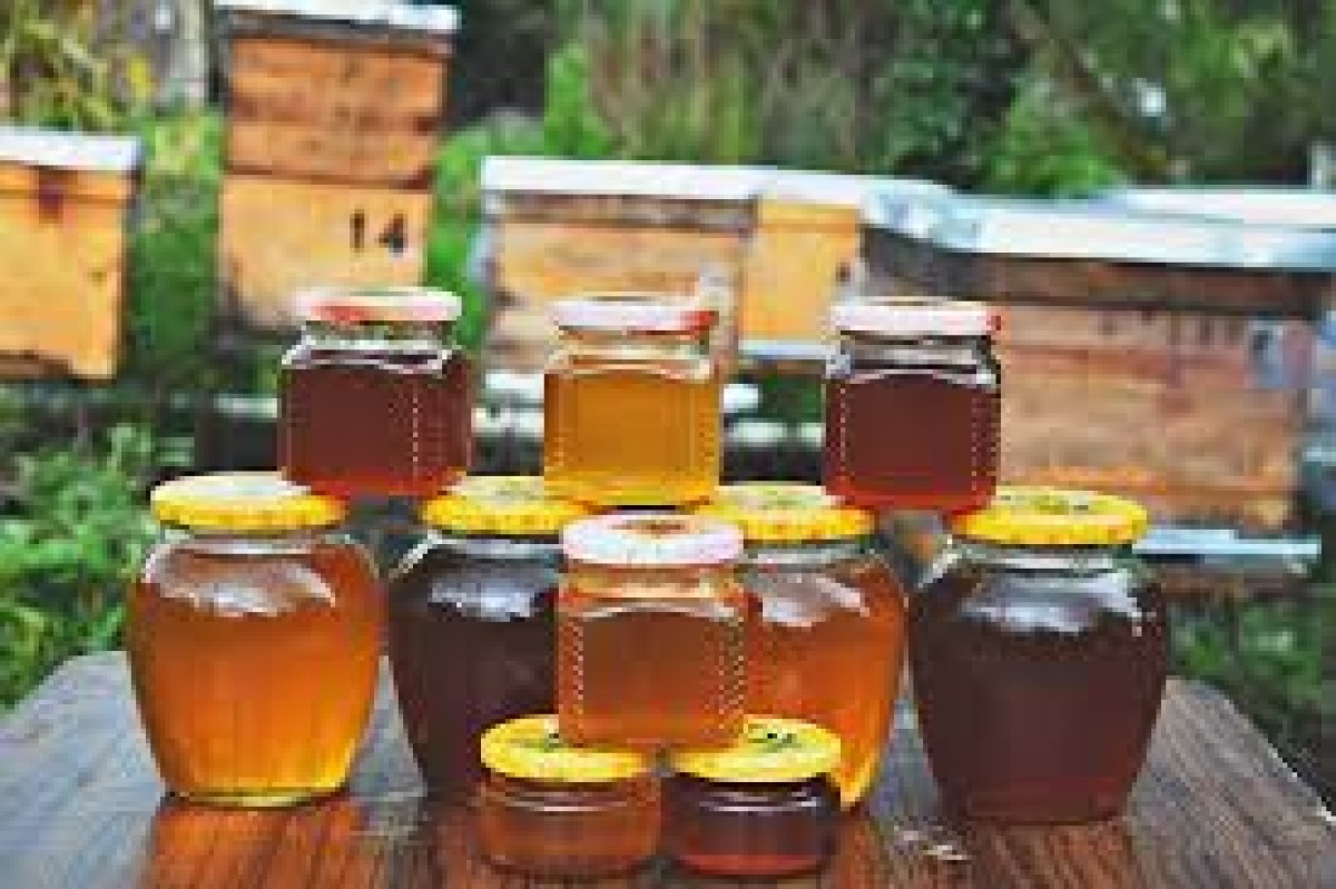 Lime Honey & Chestnut Honey from Georgia
