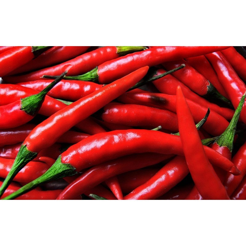 Chili Pepper from Ghana