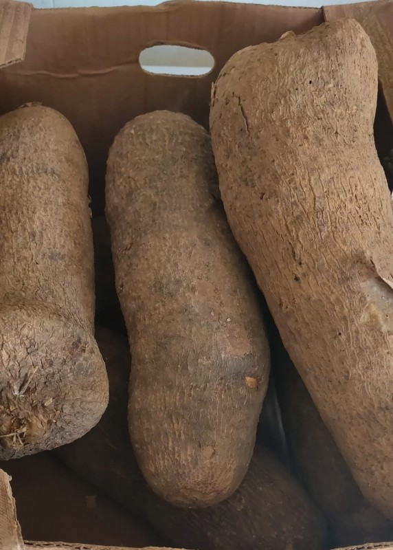 Yam from Ghana from Ghana
