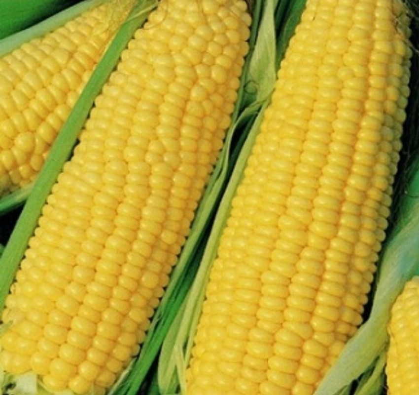 Yenmie Organic Exports from Ghana