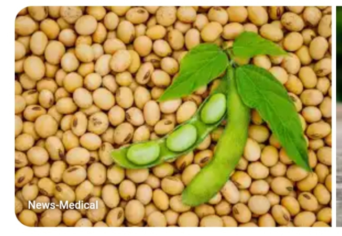 Soyabeans from Ghana
