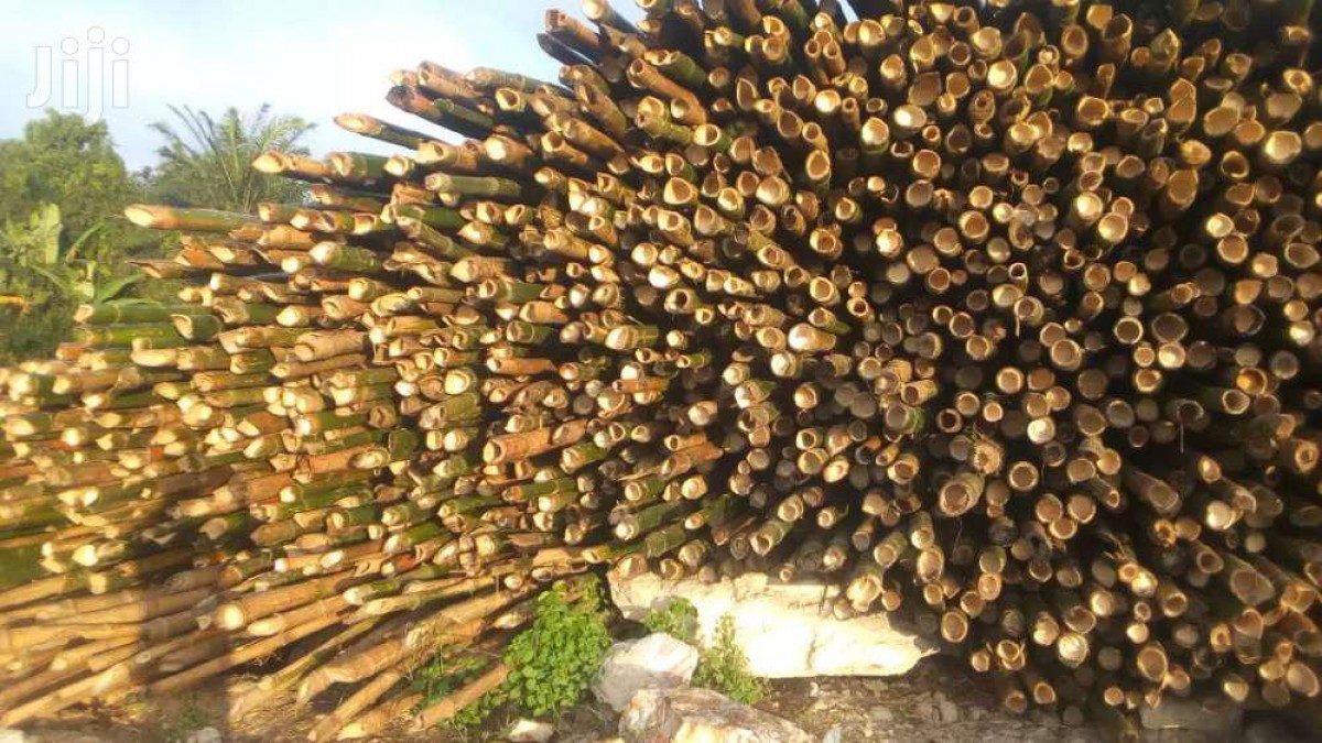 Bamboo from Ghana