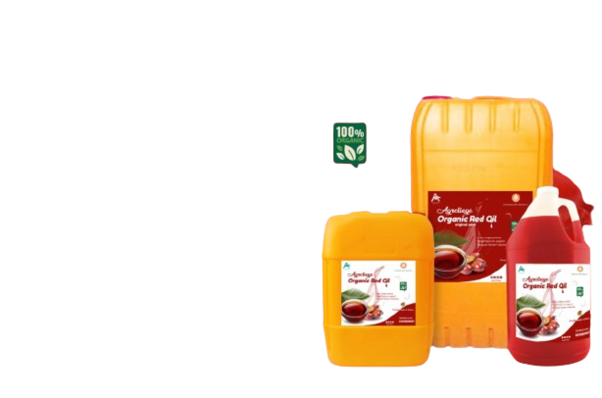 Organic Palm Oil from Ghana