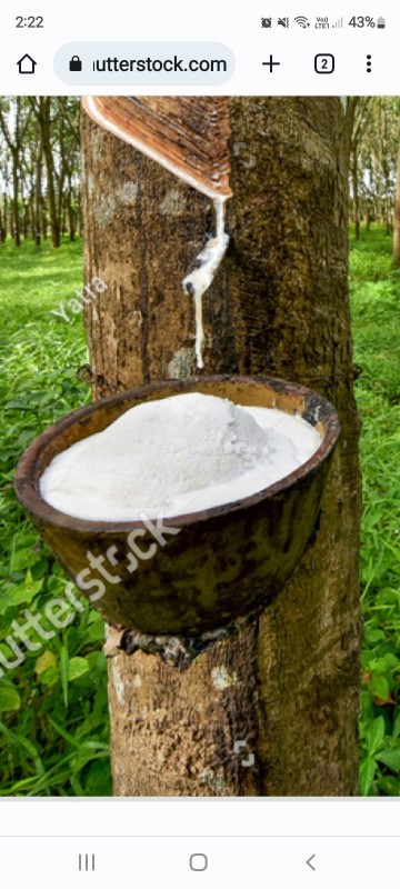 Natural Unrefined Rubber from Ghana