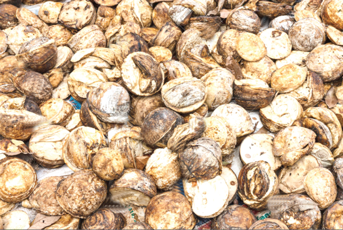 Gomma naturale from Ghana