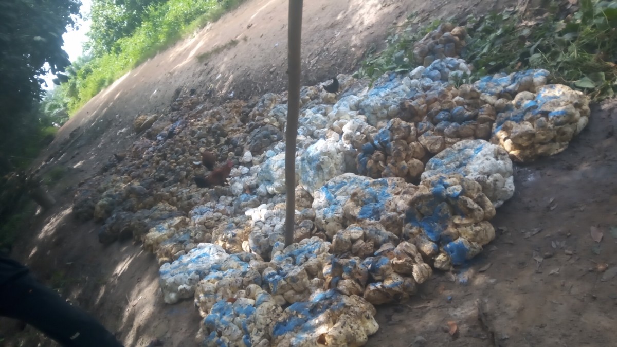 Natural Rubber from Ghana