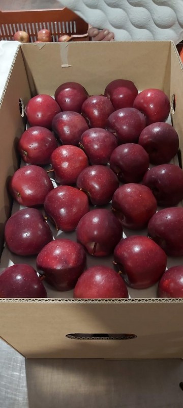 FRESH APPLES from Greece