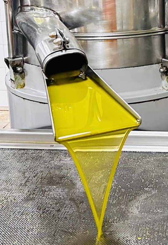 Extra Virgin Olive Oils from Greece