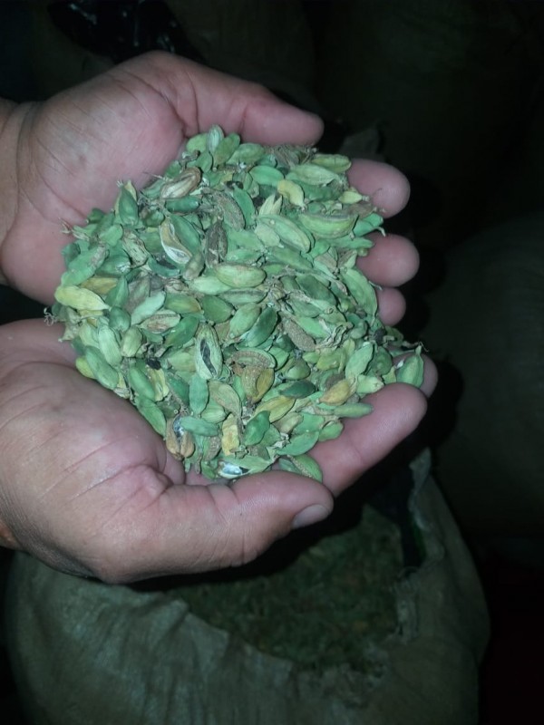 Green Cardamom from Guatemala