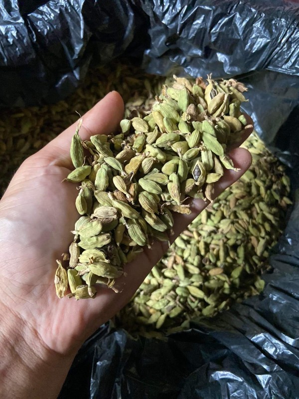 Premium Green Cardamom from Guatemala