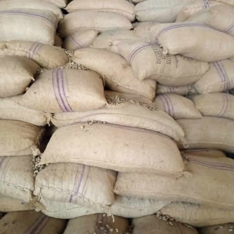 CASHEW NUTS, SRIMPS from Guinea-Bissau