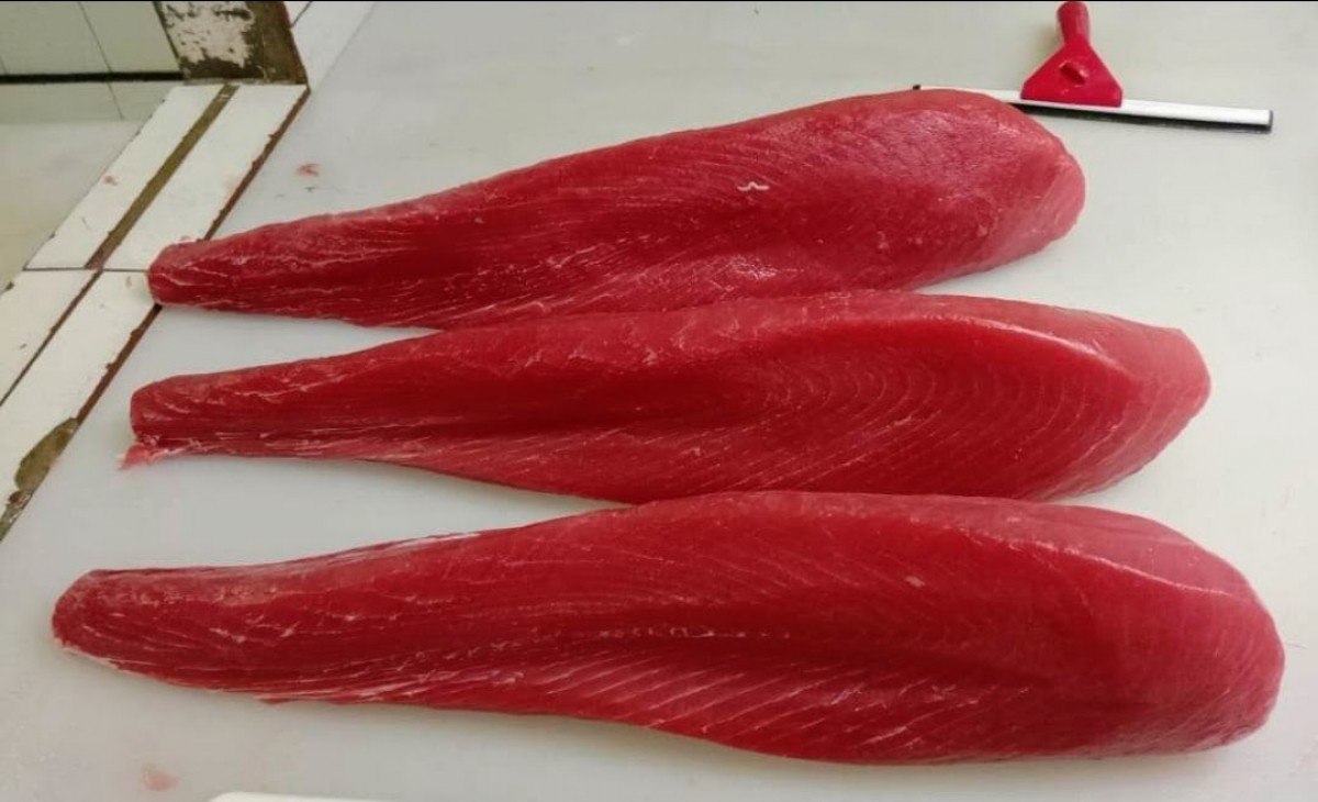 Frozen Loin Tuna CO from Indonesia