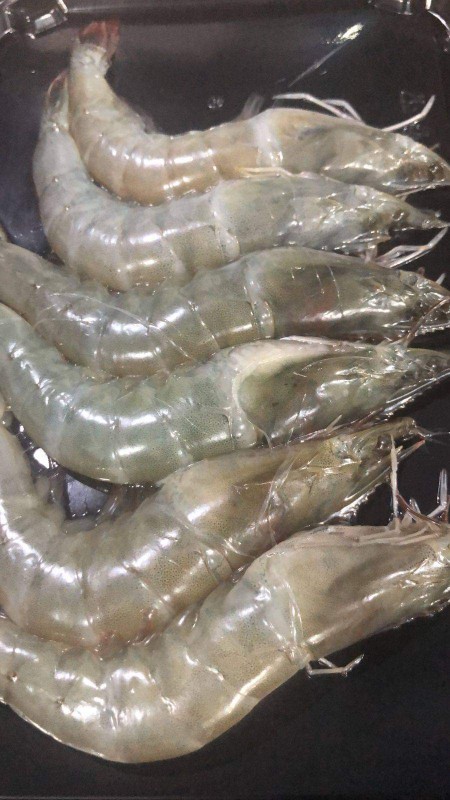 Vannamei Shrimp from Indonesia