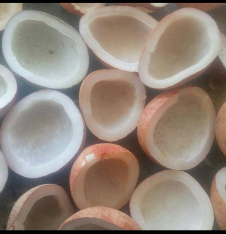 COPRA GRADE A from Indonesia
