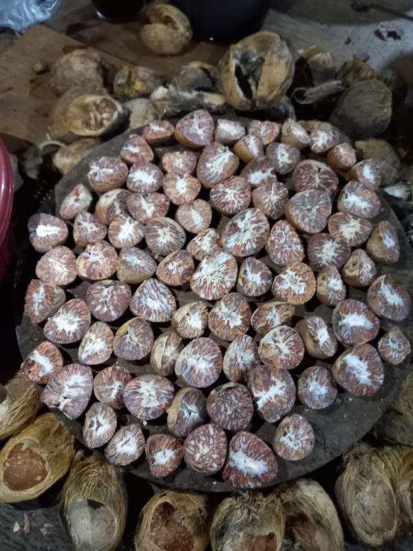 Betel Nut from Indonesia