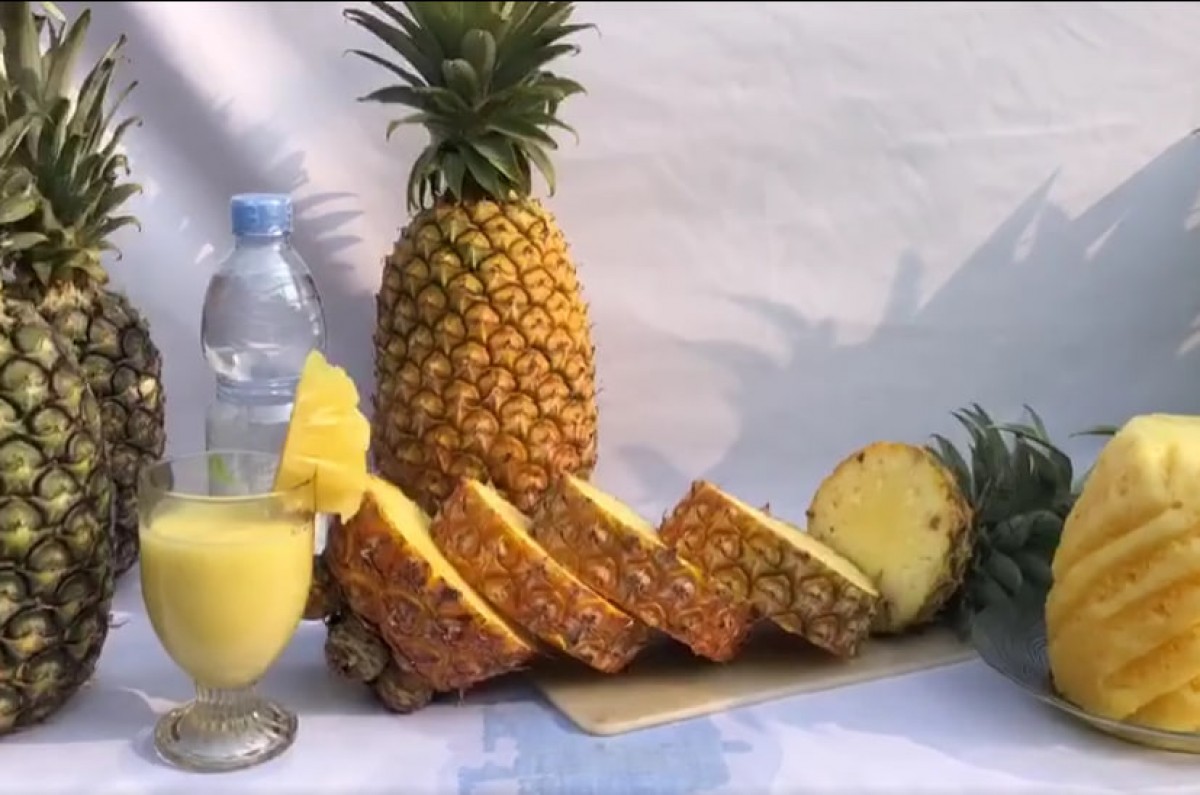 Pineapple From Indonesia (Kediri) from Indonesia