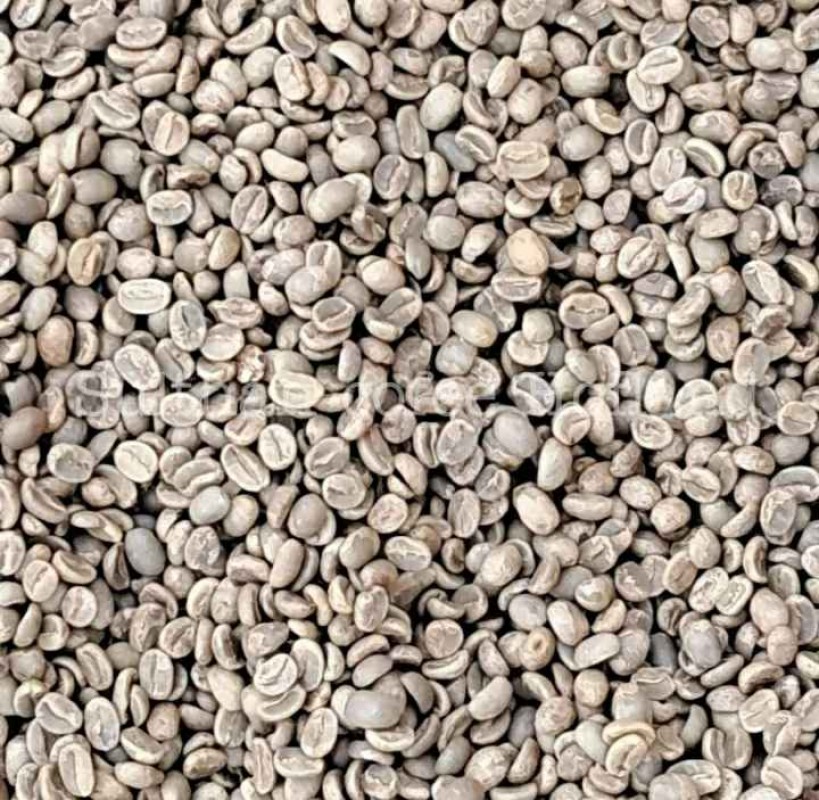Robusta Green Beans from Indonesia