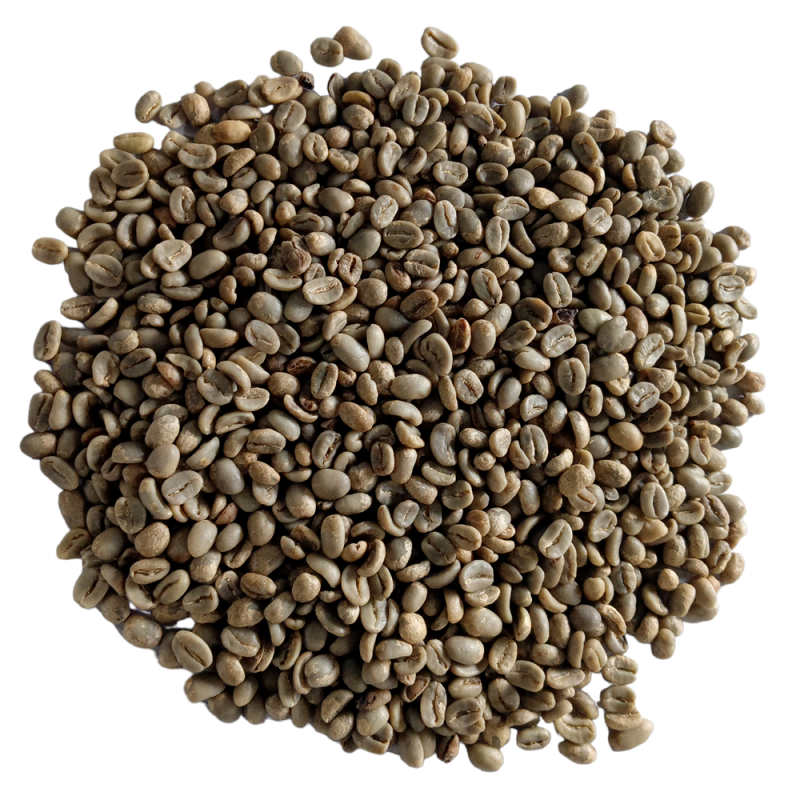 Caffè di Civetta Selvatica from Indonesia