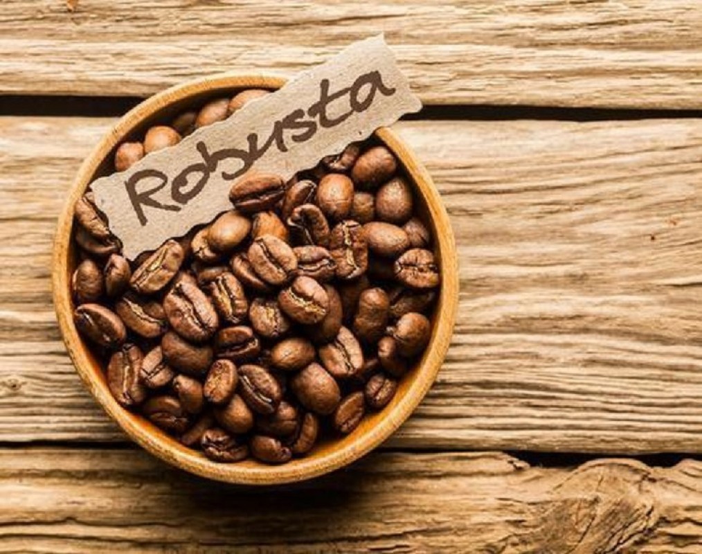 Java Robusta Roasted Coffee from Indonesia