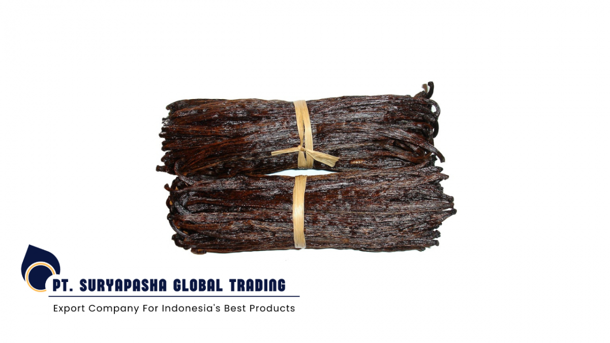 Vanilla Beans 18-19 cm from Indonesia