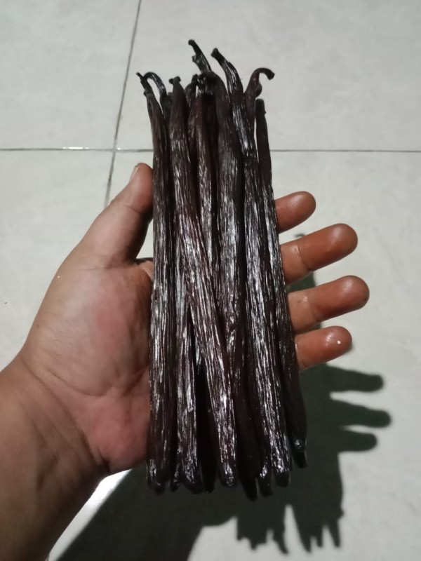 Vanilla Pods Planifolia Grade A from Indonesia