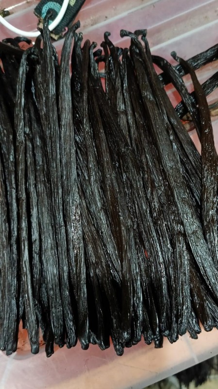 Vanilla Pods Planifolia Grade A Sulawesi from Indonesia