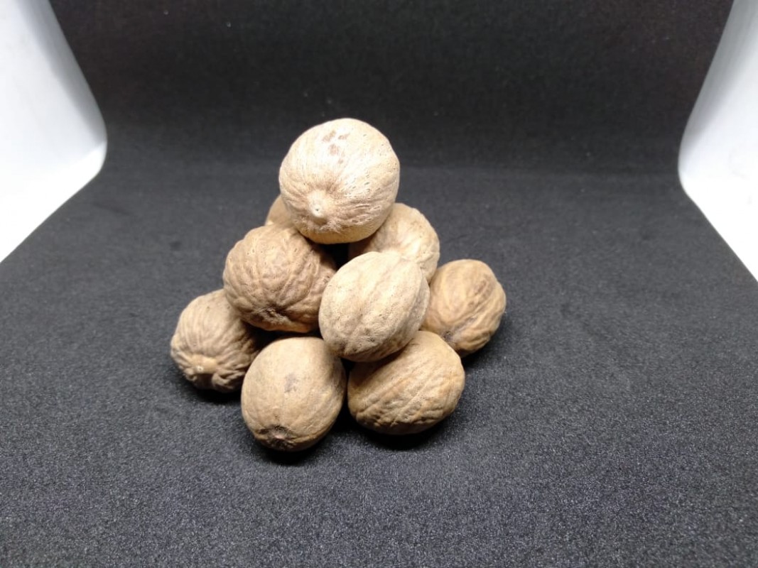 NUTMEG from Indonesia