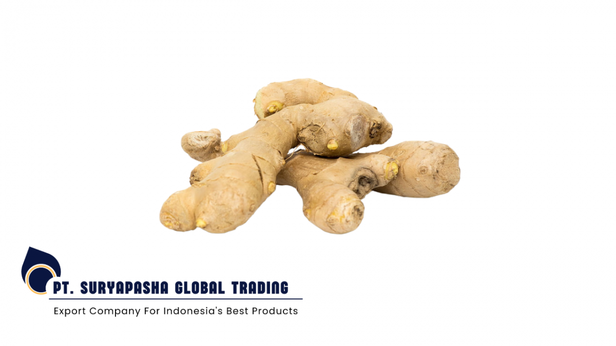 Fresh Ginger PVC Box from Indonesia