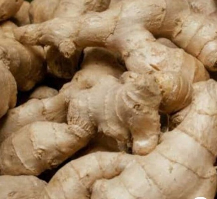GINGER from Indonesia