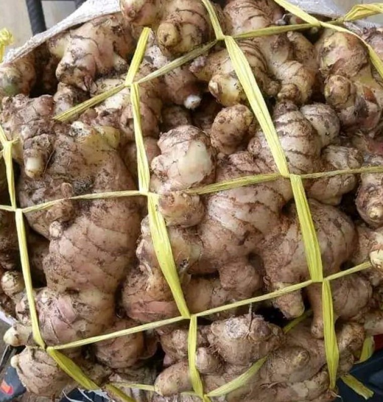 Jahe segar from Indonesia