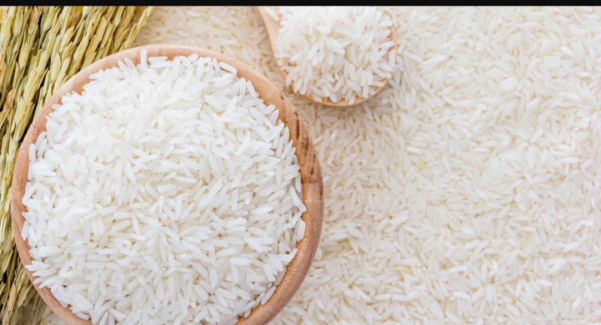 Rice and Corn from Indonesia