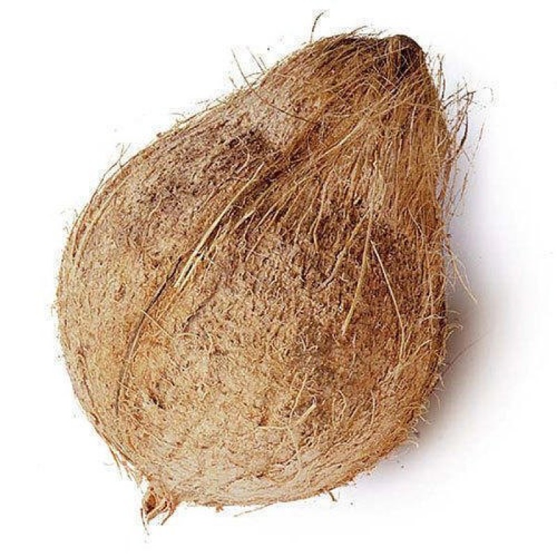 SEMI HUSKED COCONUT from Indonesia