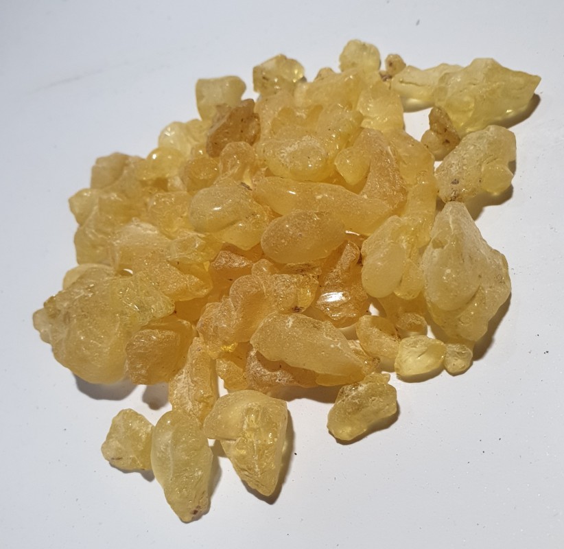 Gomma Damar di alta qualità from Indonesia