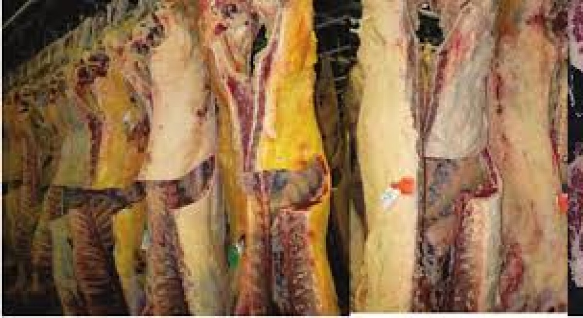 Old cow beef from Ireland