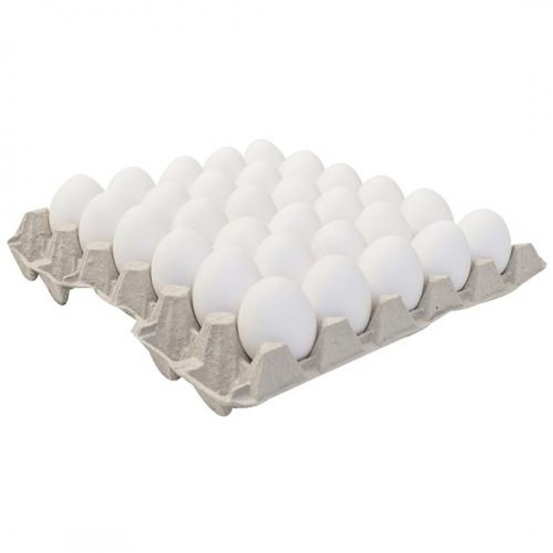 Chicken white eggs from India