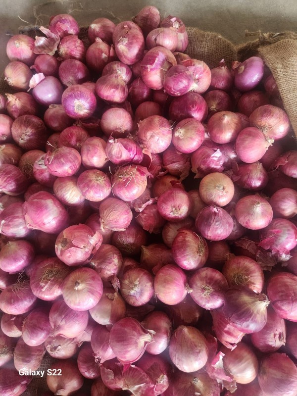 Fresh Indian Red Onions from India