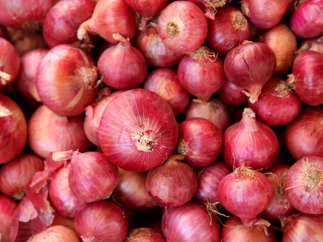 Fresh red onion from India