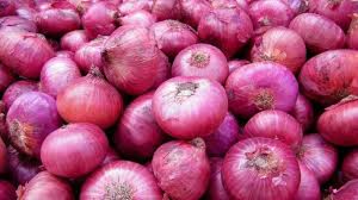 freshonion from India