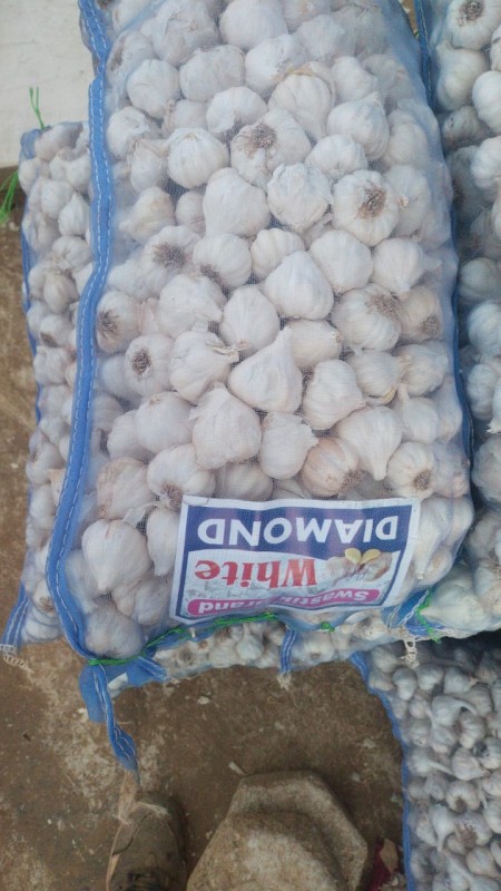 Garlic from India