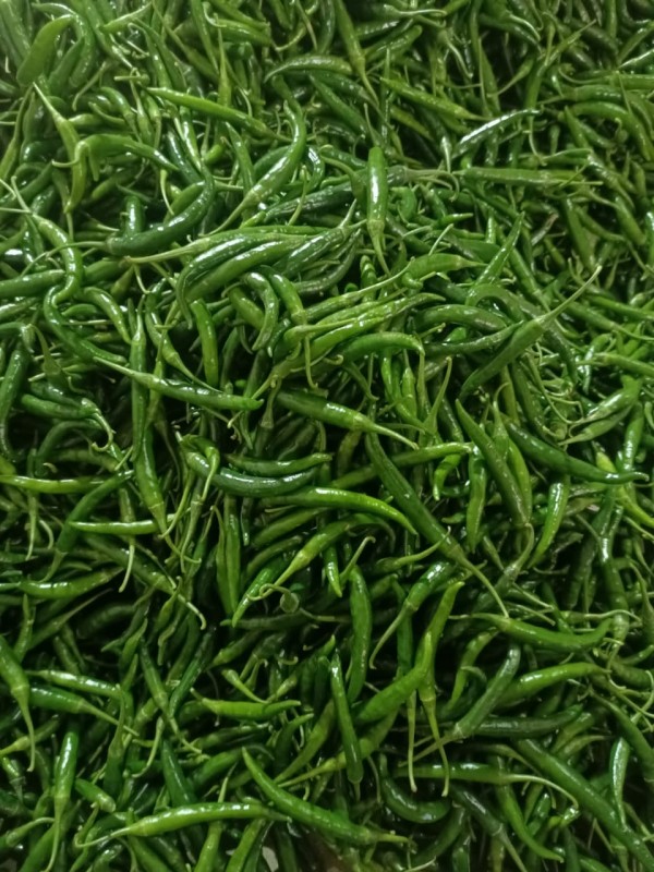 Indian fresh G4 Green chilli from India