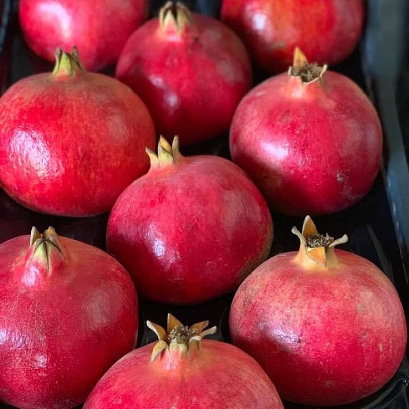 Pomegranate from India