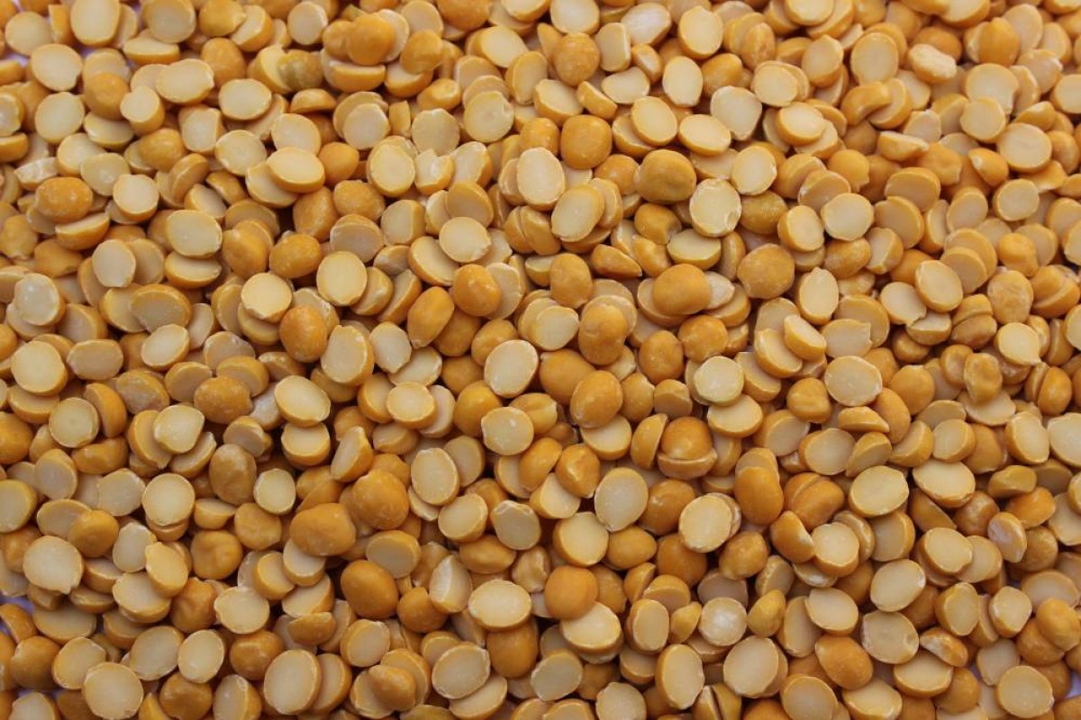Black Chickpea Split/ Chana Dal /Yellow Lentils from India