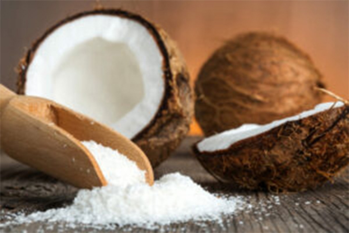 Coconut Powder from India