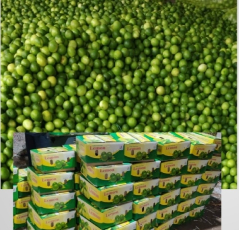 Lemon from India