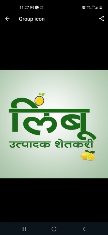 Lemon from India