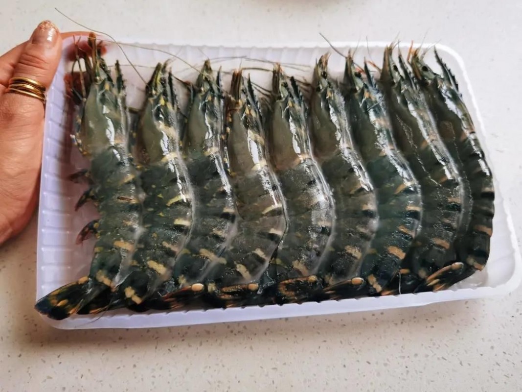 Vannamie  prawn  (Indian Fresh water ) from India