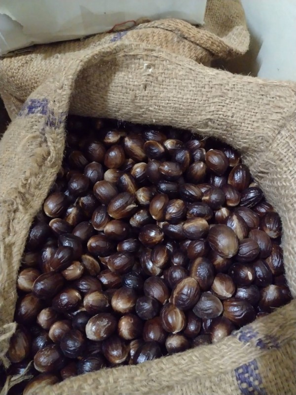Nutmeg whole from India