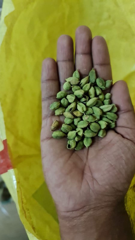 Cardamomo from Índia