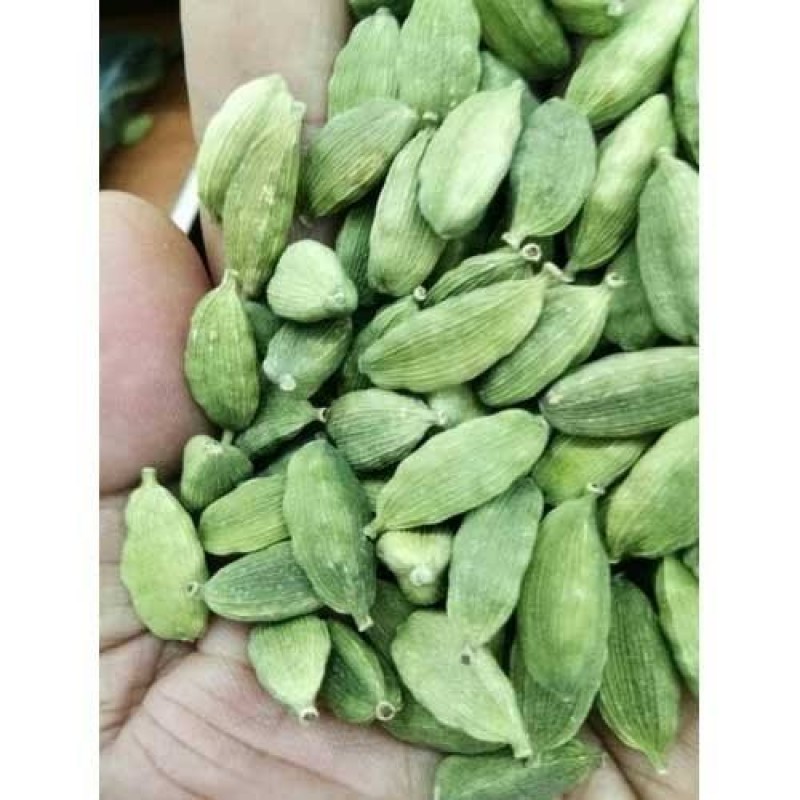 GREEN CARDAMOM from India