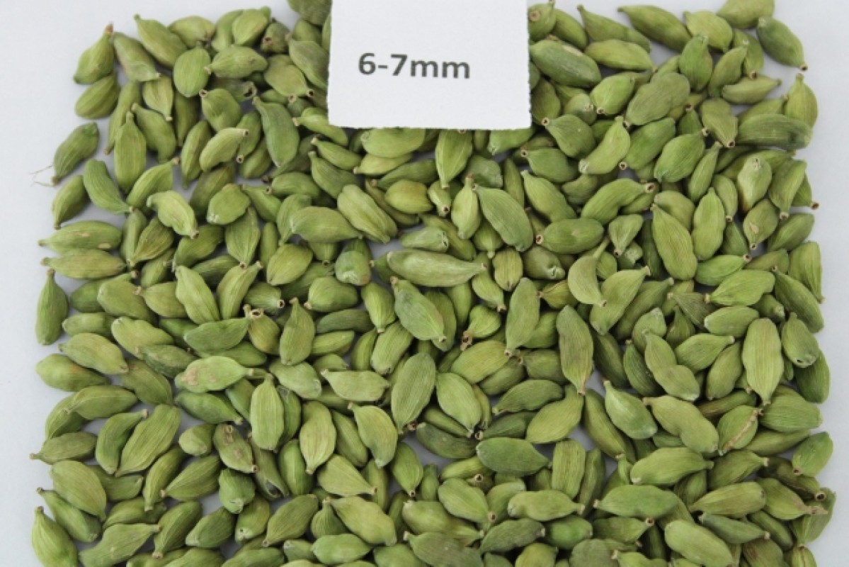 GREEN CARDAMOM from India